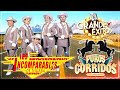 LOS INCOMPARABLES DE TIJUANA -- PUROS CORRIDOS MIX EXITOS 2023