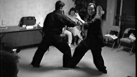 1998 wellness ctr Demo  Bagua: Sincerity applied to Push hands strikes, chin na, throws