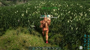 How to spawn a little and big Ferox