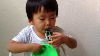 けんたろ演奏会。20121027