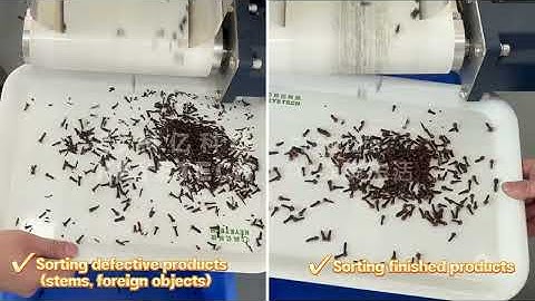 AI tracked intelligent sorting machine  （cloves、foreign matter）