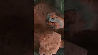 Extreme Crunch 😍Knife Cutting Dry crumbling #textureasmr