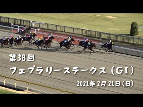 【レース映像】第38回 フェブラリーステークス（ＧⅠ）勝ち馬カフェファラオ 2021年2月21日【美駒ハヤト/Vtuber】