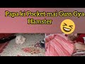 Hamster ko papa ki Pocket mai rakh diya 😃