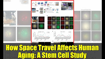 How Space Travel Affects Human Aging: A Stem Cell Study