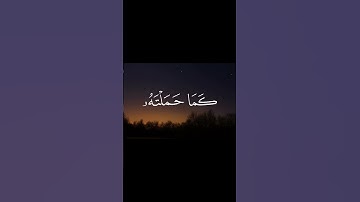 تلاوة بصوت الشيخ محمد صديق المنشاوي | ترتيل مؤثر يريح القلوب