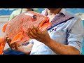 Monster Red Snapper Fish Cutting By Expert Cutter.