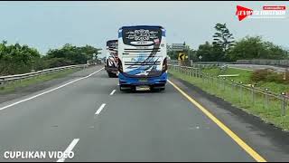 story wa bis po haryanto pekalongan raya/hercules