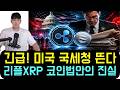 [리플 XRP] 긴급!! 미국 국세청이 움직인다! '미국 코인 법안'의 무서운 진실 (RLUSD와 리플)