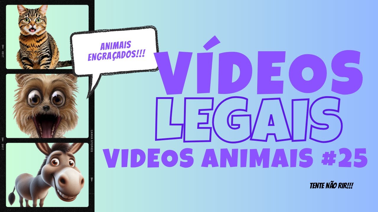 Novos animais engraçados 2024 😂 Vídeos mais engraçados de cães e gatos 😹🐶 Parte 25