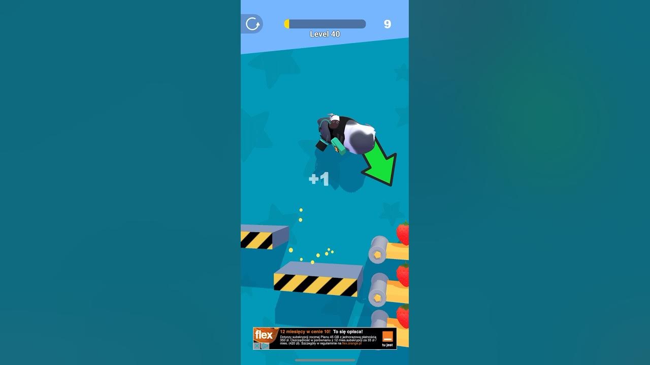 OMG hamster a hamster that does a somersault #edit #pet #trollfaceedit ...