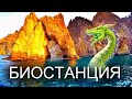 Биостанция. Кара-Даг. Золотые ворота. Курортное.  Карадагский змей.  Капитан Крым