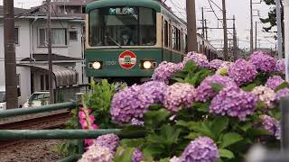 【1001-1051号定期運行終了】 江ノ電1000形1001f+1101f柳小路-石上間走行シーン