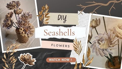 Diy seashell flowers✨️ #diy #seashell #flowers #handmade #tutorial #ideas #homedecor 