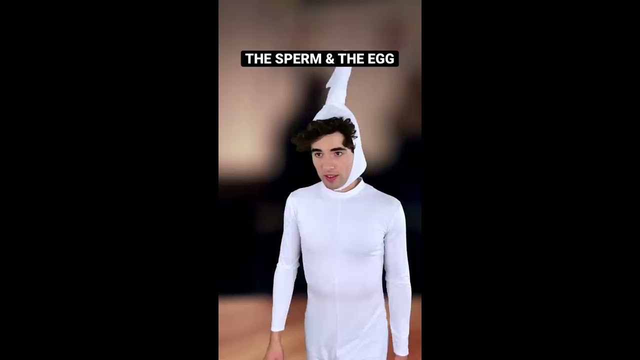 The Sperm And Egg Shorts YoutubePartner