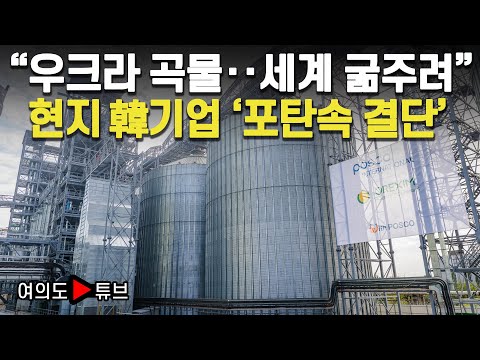 [여의도튜브] “우크라 <strong>곡물</strong>‥세계 굶주려” 현지 韓기업 ‘포탄속 결단’ /머니투데이방송
