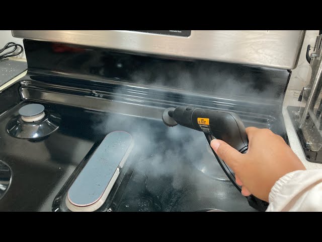 How to Clean Your Oven with a Home Steam Cleaner, Wagner