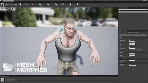 (Tutorial)  Unreal Engine Mesh Morpher 1.3.2 - Use Reference Skeletal Mesh