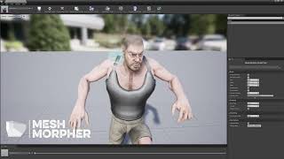 (Tutorial)  Unreal Engine Mesh Morpher 1.3.2 - Use Reference Skeletal Mesh