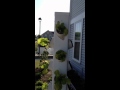 diy hydroponics towers