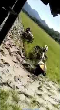 Lucu banget membawa traktor