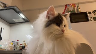 お久しぶりのライブ!!