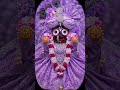 JagannathPuri #JagannathTemple #JagannathDarshan #Puri #LordJagannath #Shorts #ViralShorts #Bhakti