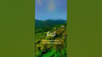 تلاوة خاشعة قرأن كريم راحة نفسية #قران_كريم #قرآن #elmulquranعلم #المصحف #duet #اكسبلور #trend