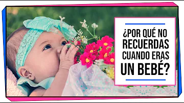 ¿Nos recuerdan los bebés?