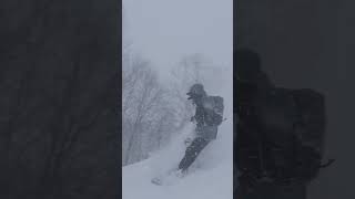 분설 / 粉雪 / Powdersnow 🤍