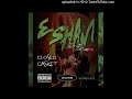 06 brainwashed  esham