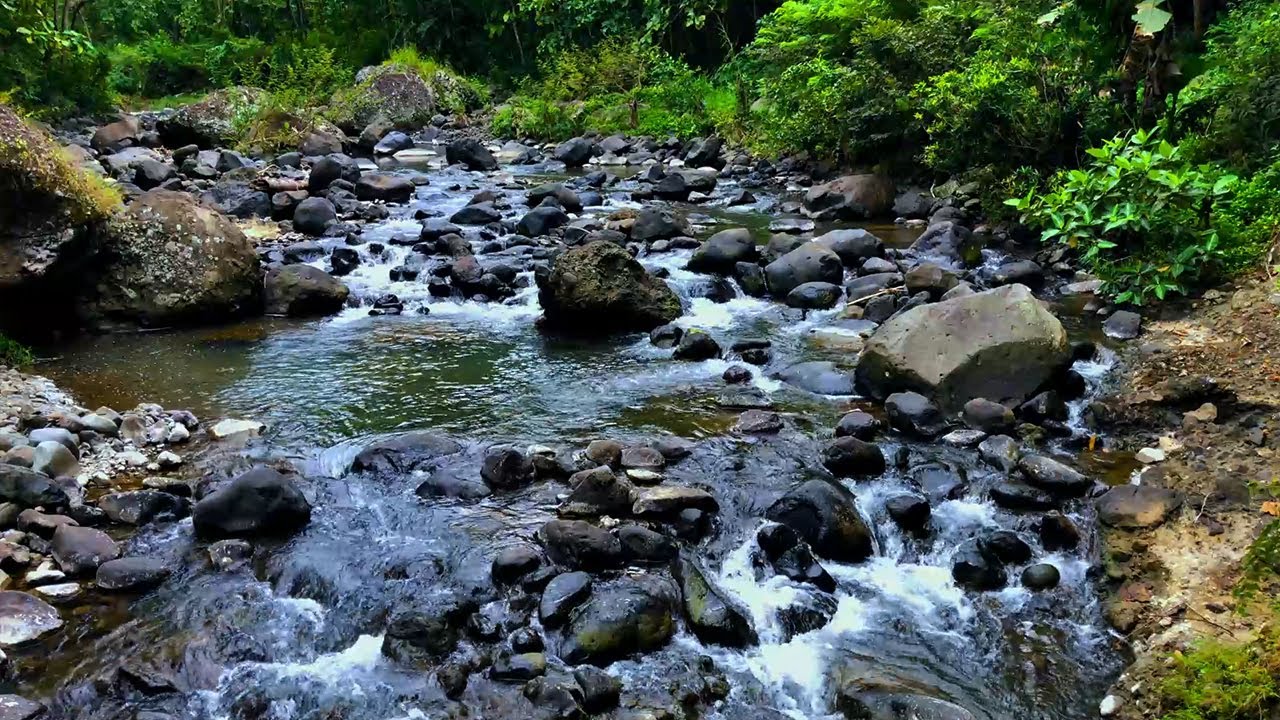 Cure Rivier Delightful Water Sounds of the River Cures Stress, Calming water ...