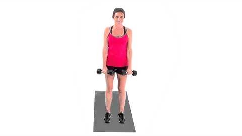 Dumbbell Reverse Curl