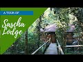 A Tour Of Sacha Lodge - Ecuador Amazon