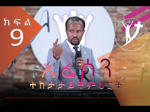 ቪዲዮ: አንድን ዛፍ ከድመት እንዴት መጠበቅ እንደሚቻል