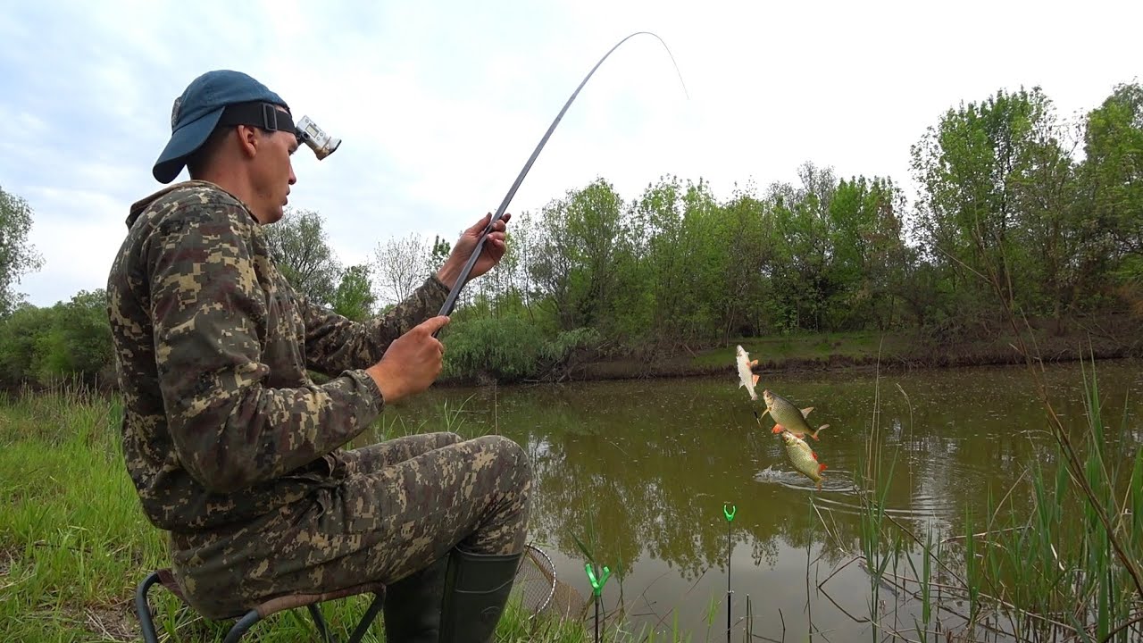 В ЭТОМ МЕСТЕ РЫБА НА ВСЕ КРЮЧКИ БРОСАЕТСЯ. ТРИ РЕКИ. Рыбалка на поплавочную удочку и закидушку.