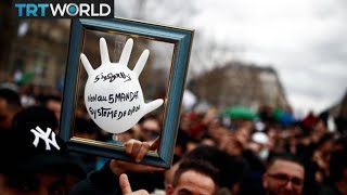 Algeria Protests Tens Of Thousands Demonstrate Against President