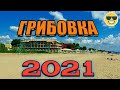 Грибовка 2021. Отдых в начале сезона.