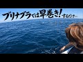 【ブリナブラ】そのタックルで来たの!?正直、終わったと思いました…。