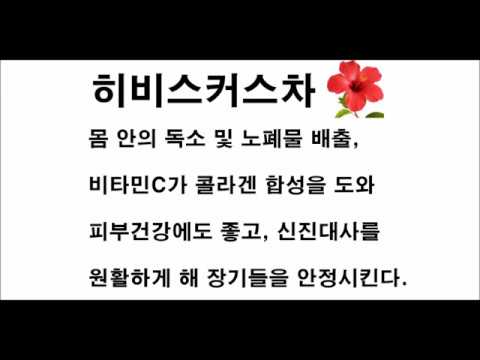 몸에 좋은 차 종류