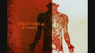 Between The Buried And Me -The Day I Tried To Live- The Anatomy Of 2006