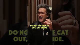 Turning Our Studio To A Shelter