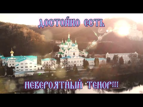 ДО СЛЕЗ! "Достойно есть" - хор Святогорской Лавры (невероятный тенор - архидиакон Дамаскин)