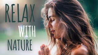 2-Minute Meditation Forest Visualization | Relaxation \& Mindful Escape into Nature