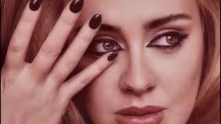 Adele - when we were young (studio acapella)
