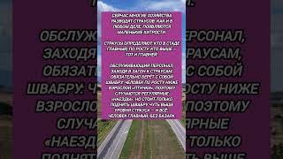 #история #историиизжизни #страусы #швабра #ферма #хитрости #смешное