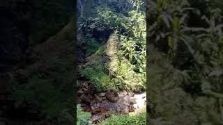 Tumbal Si Curug 1000, Cermati Setiap Sudut Ada Penghuni Mencurigakan