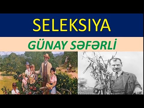 Video: Süni seleksiya ilə gen mühəndisliyi arasındakı fərq nədir?