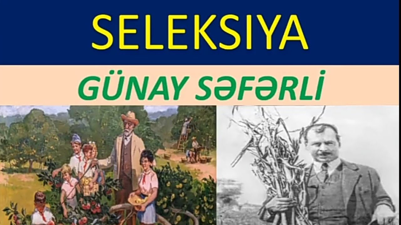 Seleksiya.Seleksiyanin istiqamətləri.Karpaçenko.Miçurin.Qohum,Qohum olmayan hibridləşdirmə...