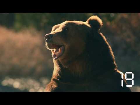 "20 Second Handwash Theater - Jaw Drop Bear" | GMC is Here to Help | GMC